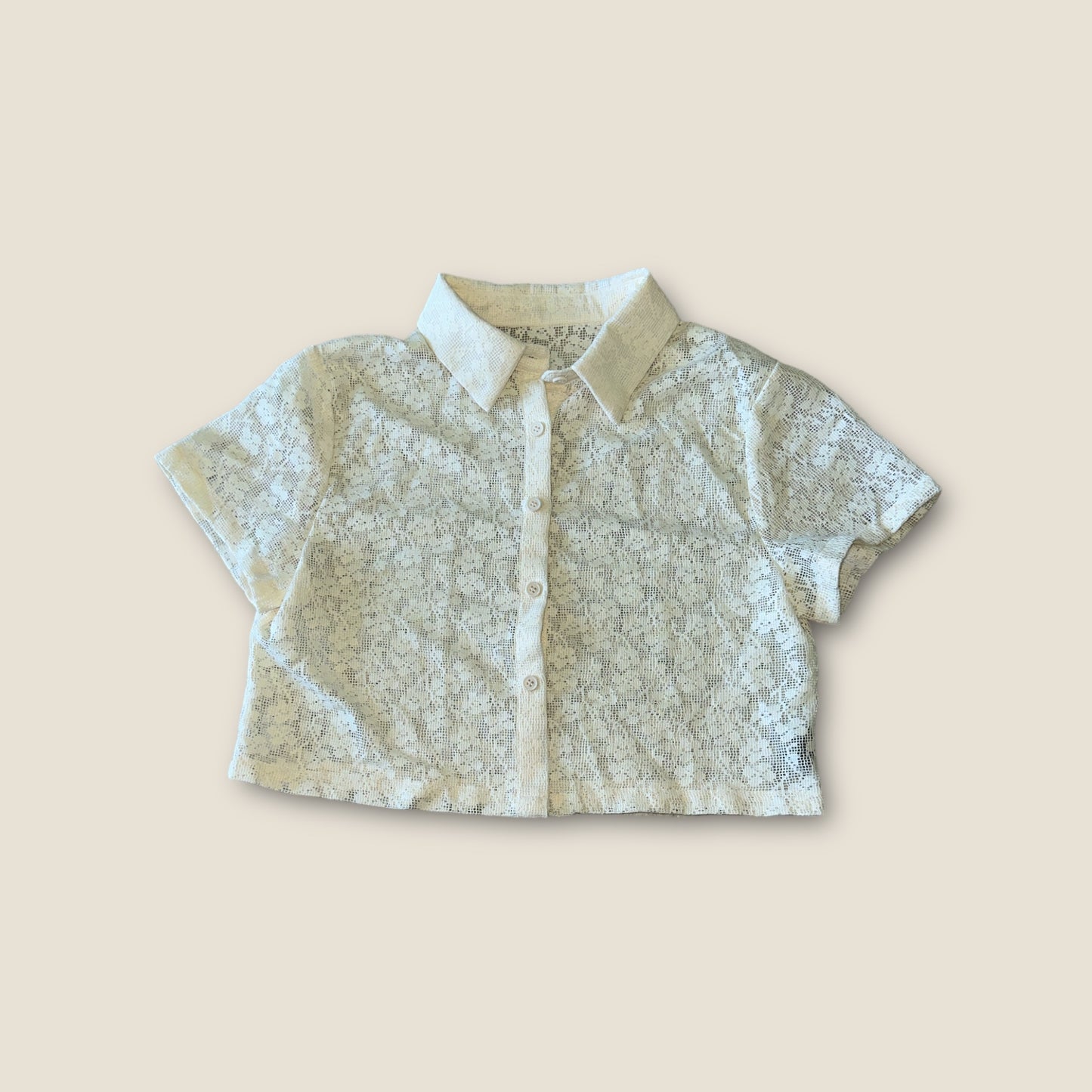 Cider lace top