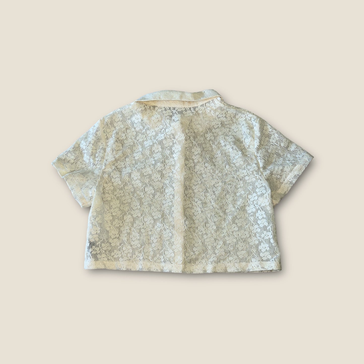 Cider lace top